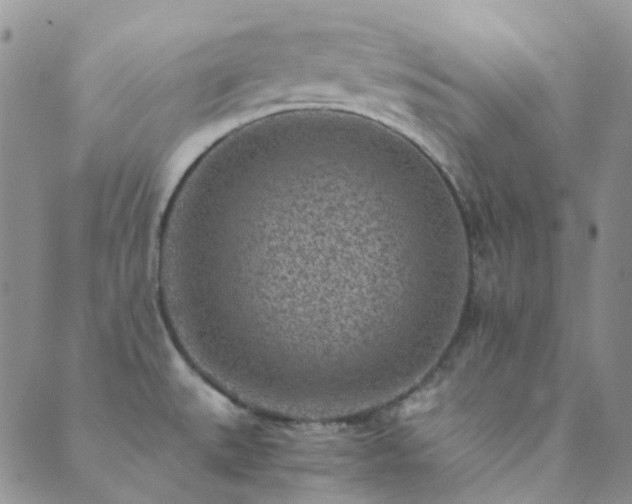 X0000089711527200706211330