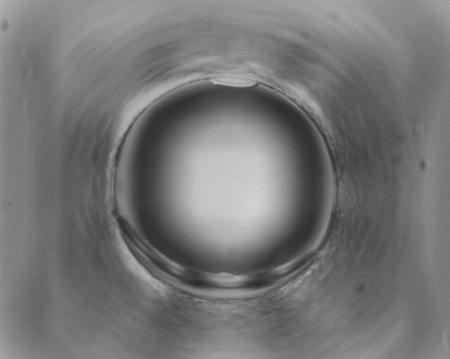 X0000089711528200706211330