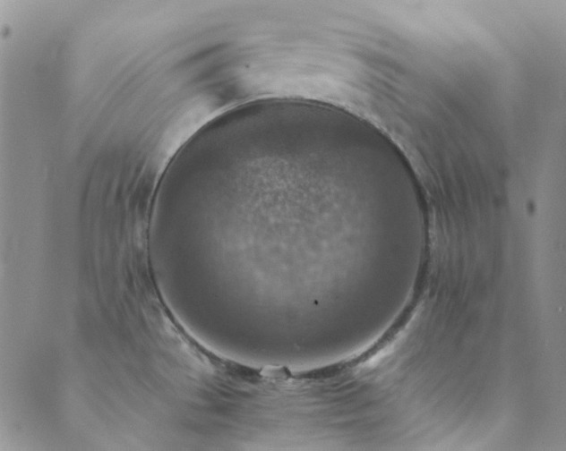 X0000089711529200706211330