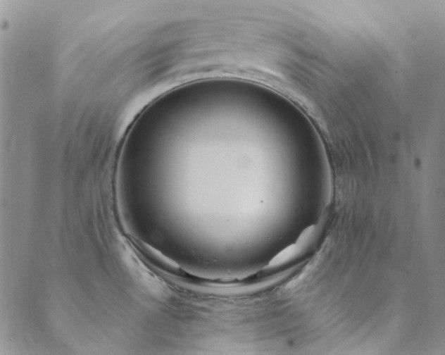 X0000089711530200706211330