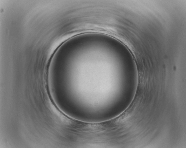 X0000089711531200706211330