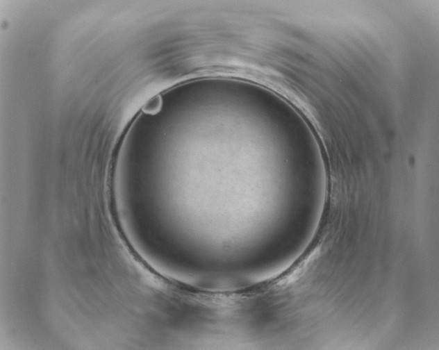 X0000089711533200706211330