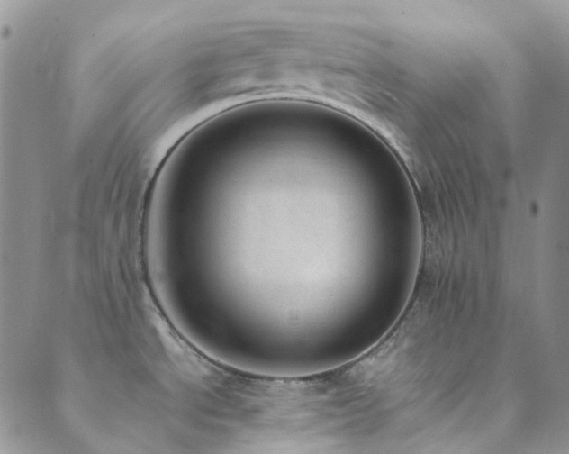 X0000089711534200706211330