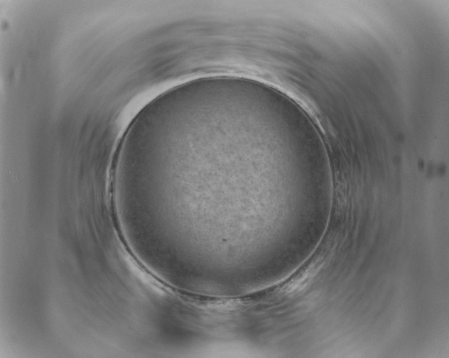 X0000089711535200706211330