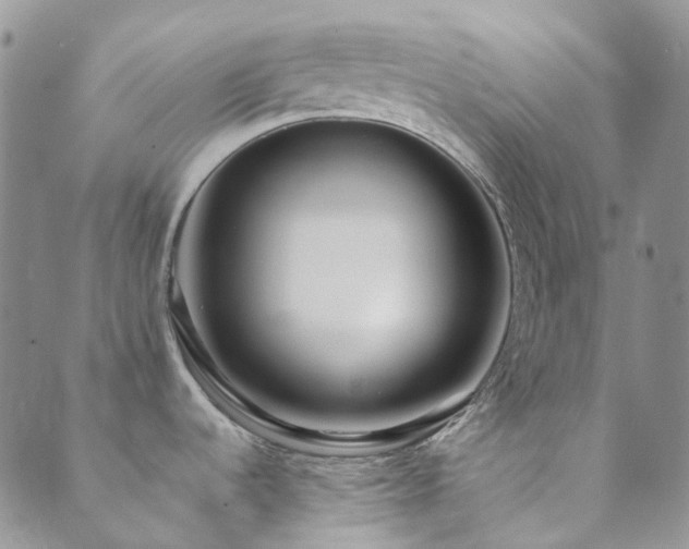 X0000089711536200706211330