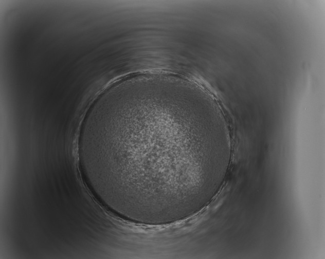 X0000089710002200706281521