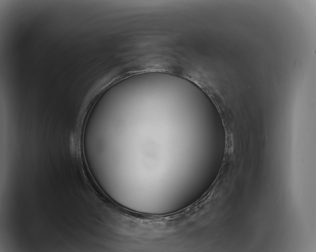 X0000089710004200706281521