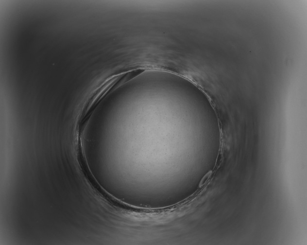 X0000089710005200706281521