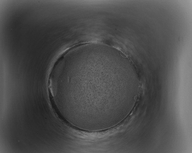 X0000089710006200706281521