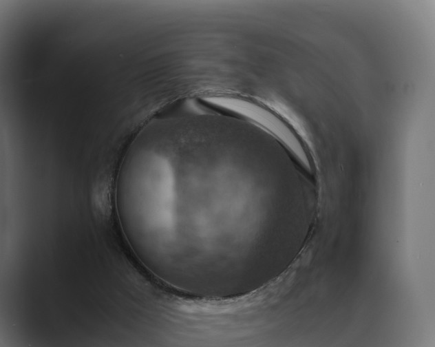 X0000089710009200706281521