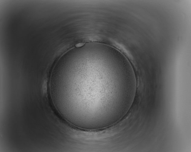 X0000089710010200706281521