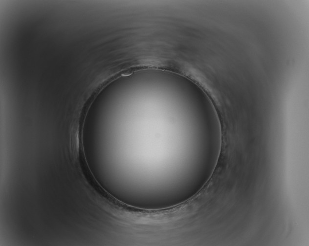 X0000089710011200706281521