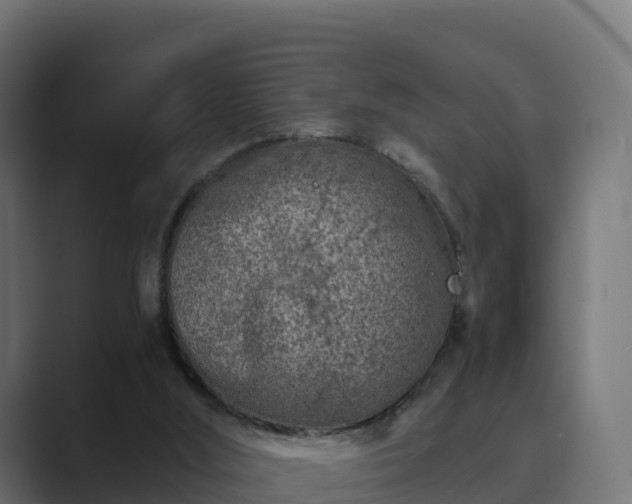 X0000089710012200706281521