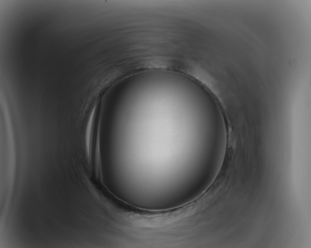 X0000089710013200706281521