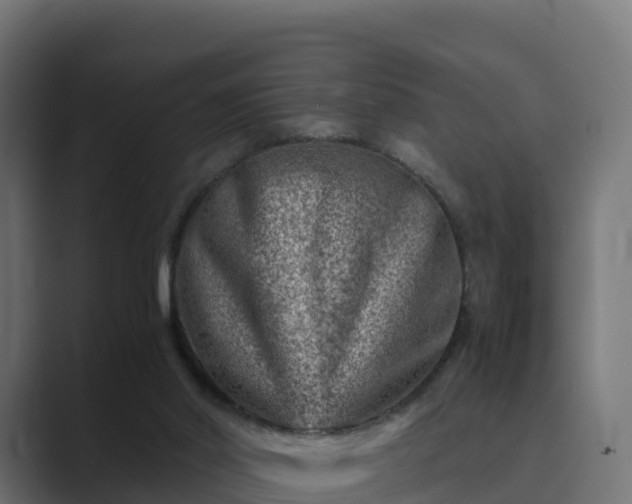 X0000089710014200706281521