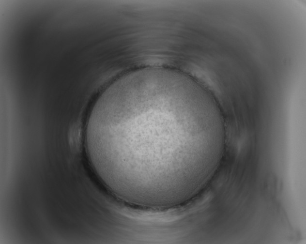 X0000089710016200706281521