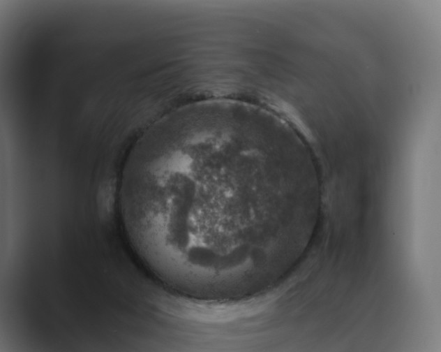 X0000089710018200706281521