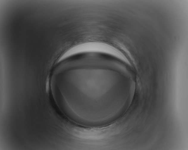 X0000089710019200706281520