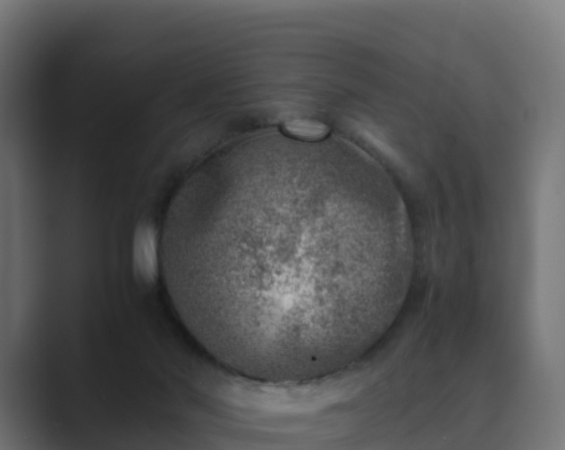 X0000089710022200706281520