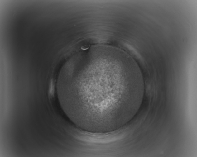 X0000089710026200706281520