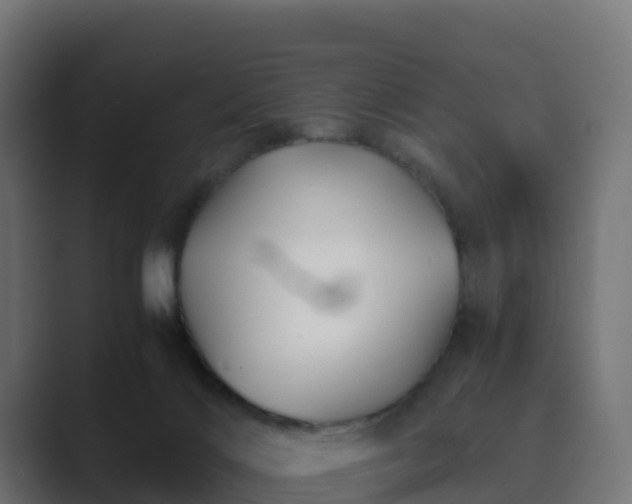 X0000089710028200706281520