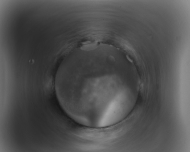 X0000089710029200706281520