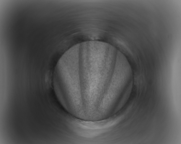 X0000089710030200706281520