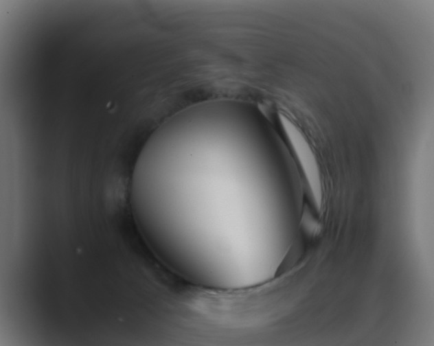 X0000089710033200706281520