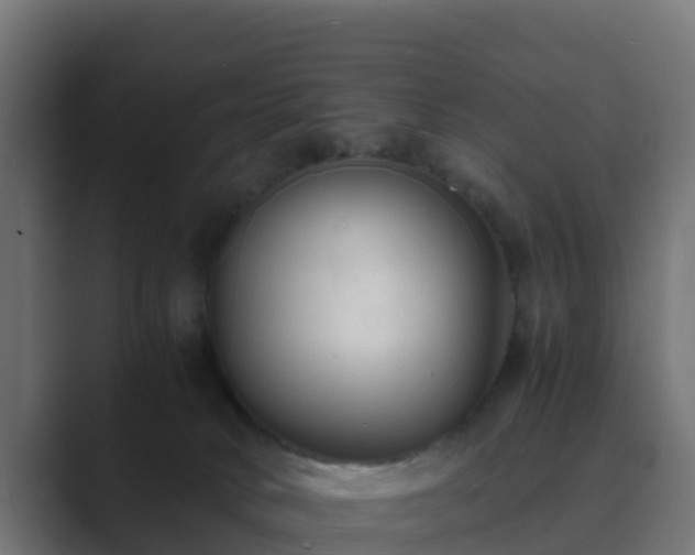 X0000089710034200706281520