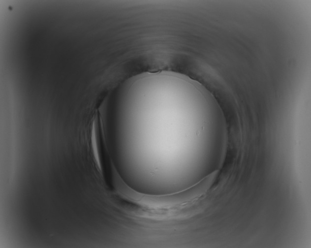 X0000089710037200706281520