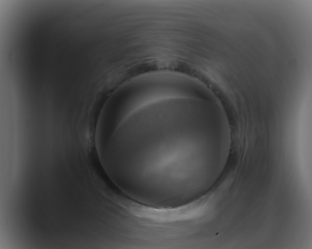 X0000089710039200706281520