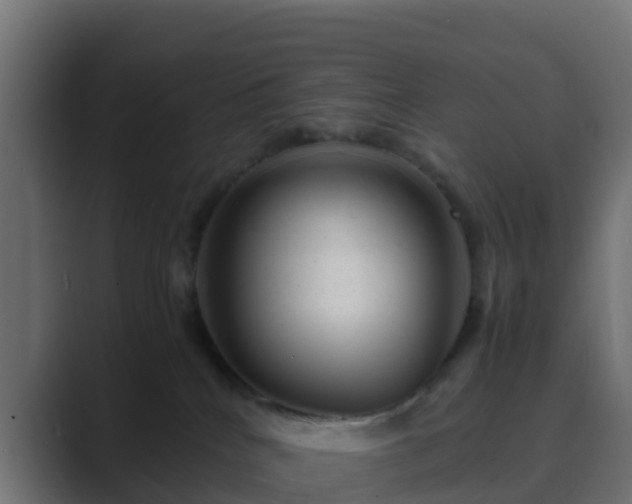 X0000089710040200706281520