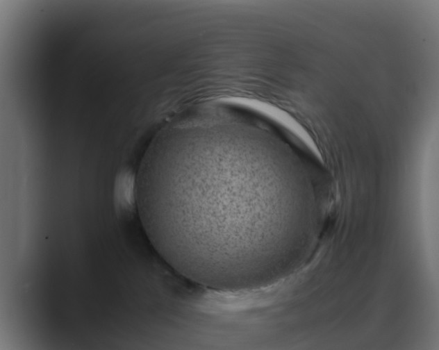 X0000089710041200706281520