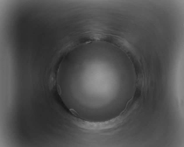 X0000089710043200706281520