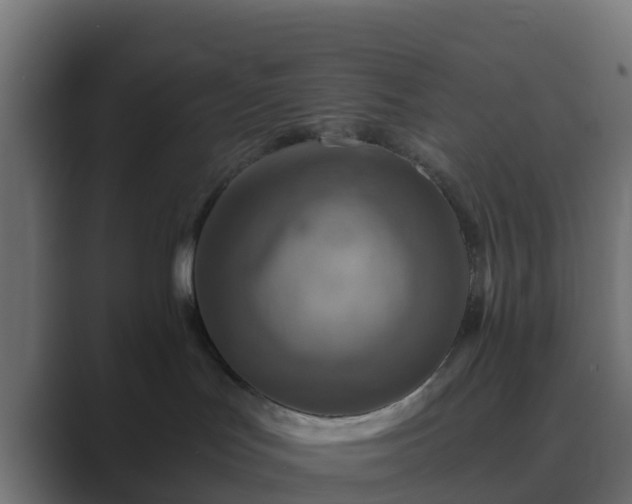 X0000089710047200706281520