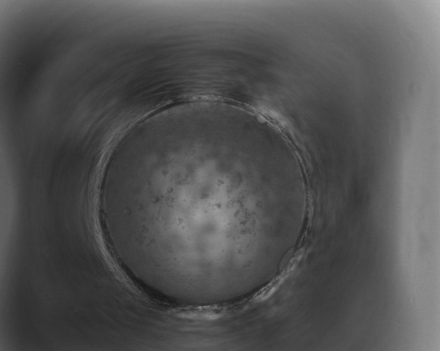 X0000089710049200706281519