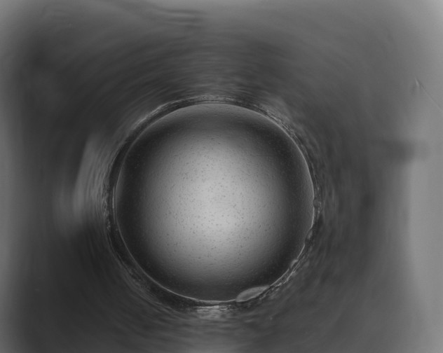 X0000089710050200706281519