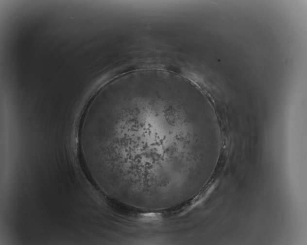 X0000089710053200706281519