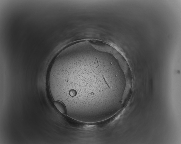 X0000089710055200706281519