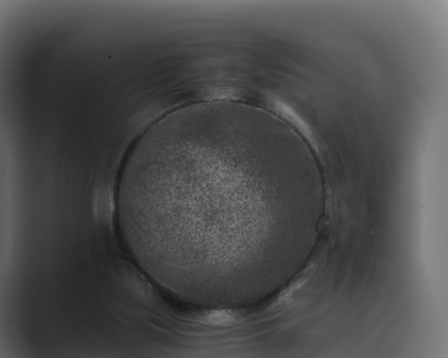 X0000089710059200706281520