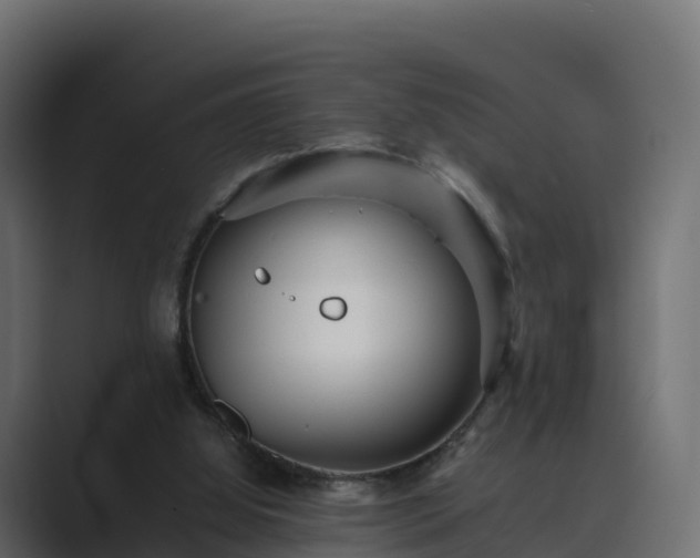 X0000089710060200706281520