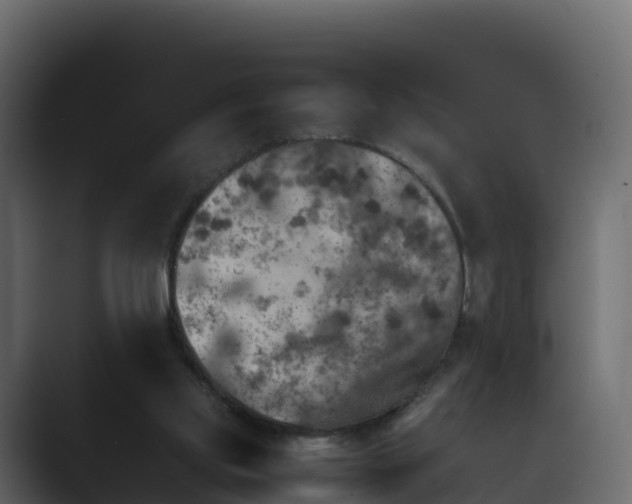 X0000089710061200706281520