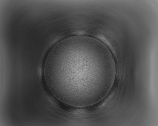 X0000089710063200706281520