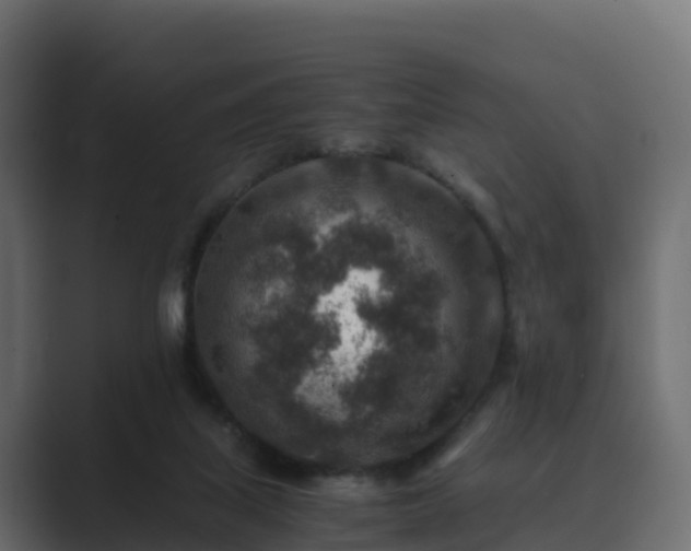 X0000089710067200706281520