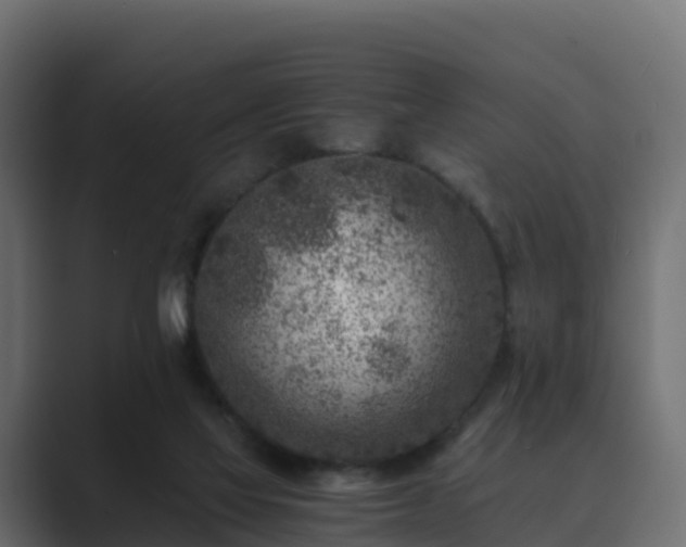 X0000089710069200706281520