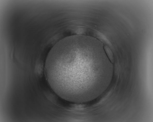 X0000089710073200706281520