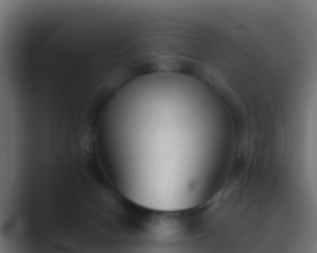 X0000089710078200706281520