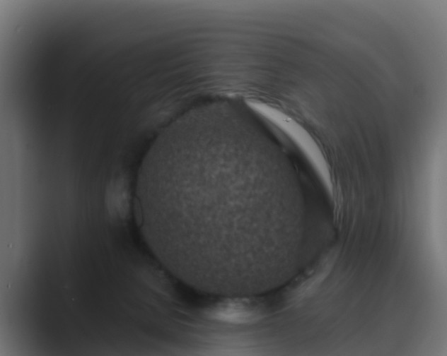 X0000089710080200706281520