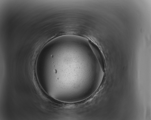 X0000089710097200706281519