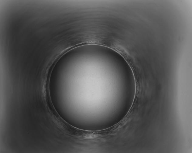 X0000089710098200706281519